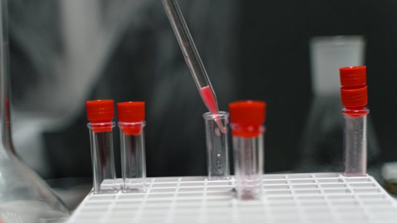 Fishscale Cocaine: Prague’s Lustrous Standard