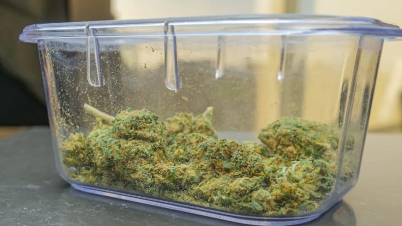 The Role of Drugs in Prague’s Gaming Culture