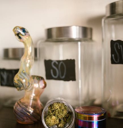 The Impact of Drugs on Prague’s Skate Culture