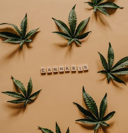 Fishscale Cocaine: Prague’s Glistening Hit