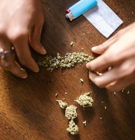 The Role of Drugs in Prague’s Bike Culture