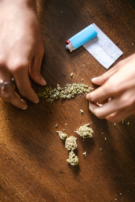 The Role of Drugs in Prague’s Bike Culture