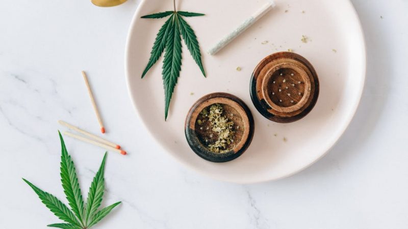 How Drugs Shape Prague’s Creative Pulse