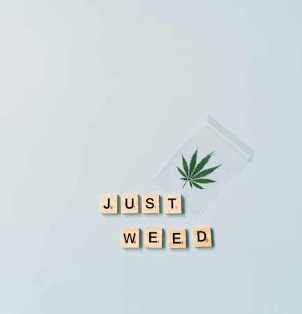 Fishscale Cocaine: Prague’s Radiant Choice