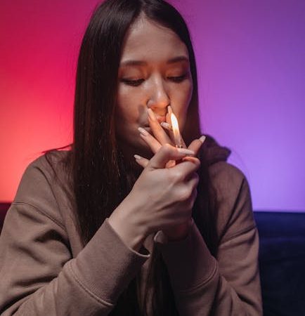 High-Quality Cocaine: Prague’s Prime Standard