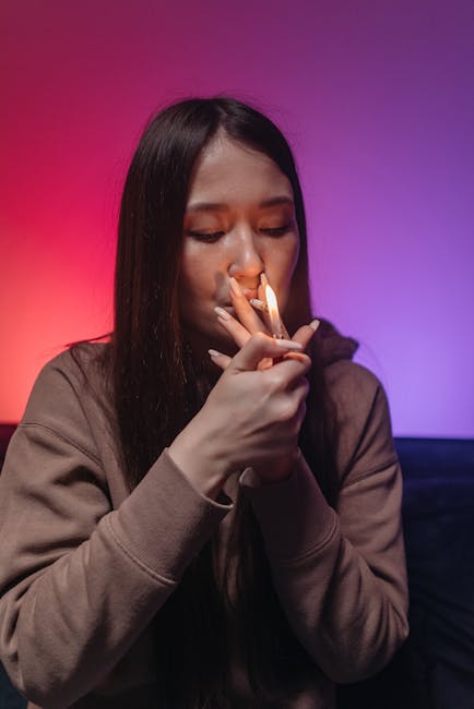 High-Quality Cocaine: Prague’s Prime Standard