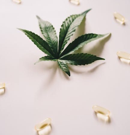 Columbian Cocaine in Prague: The Dominant Hit