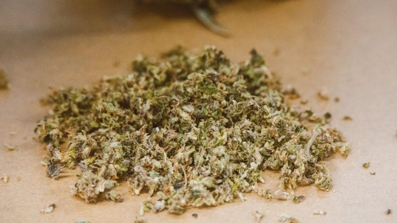 The Influence of Drugs on Prague’s Literature