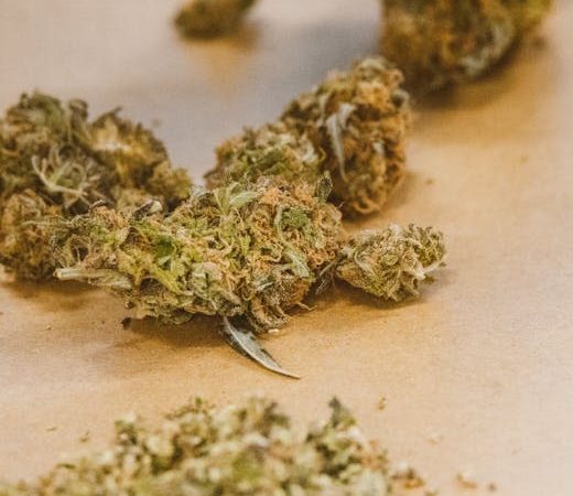 Brazilian Cocaine: Prague’s Fiery Pick