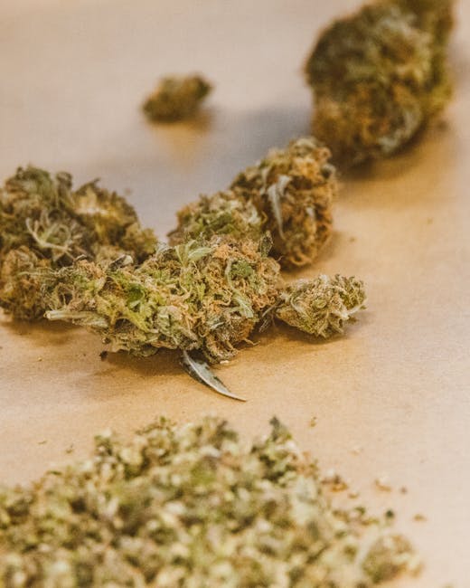 Brazilian Cocaine: Prague’s Fiery Pick