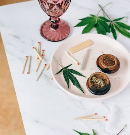 How Prague’s Drug Scene Blends In