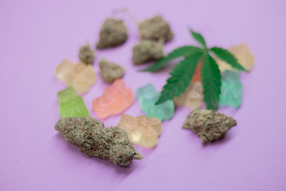 Dominican Cocaine: Prague’s Peculiar Pick