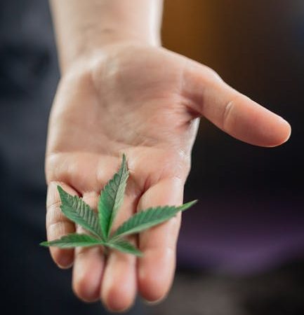 Columbian Cocaine: Prague’s Reigning Champ