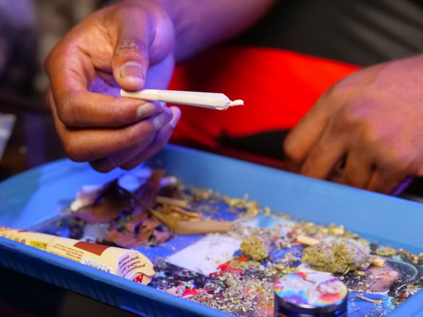 Brazilian Cocaine: Prague’s Zesty Hit