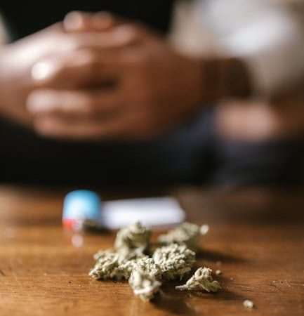 Weed in Prague: Top Local Strains
