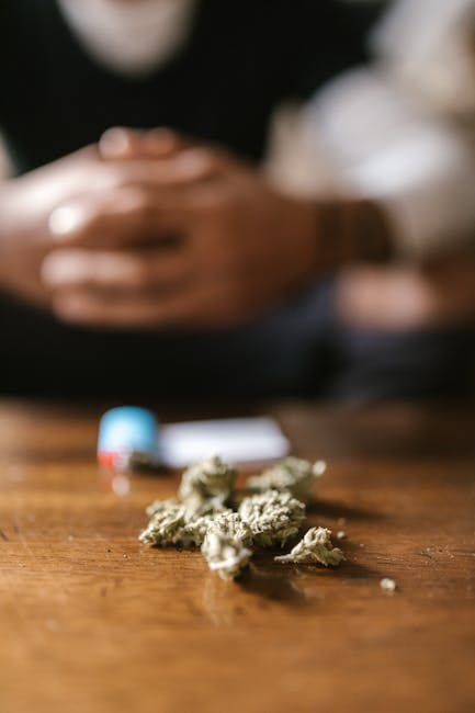 Weed in Prague: Top Local Strains