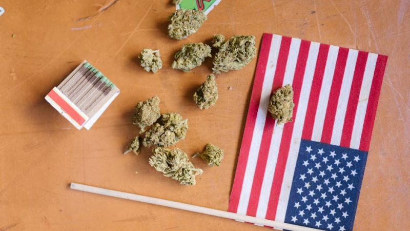 Dominican Cocaine: Prague’s Scarce Surprise