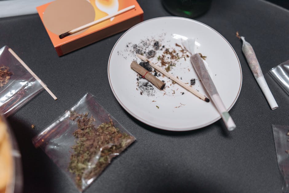 Fishscale Cocaine: Prague’s Premium Standard