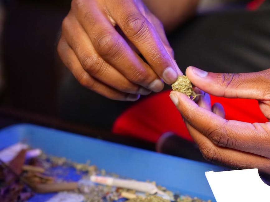 How Prague’s Drug Culture Stays Intriguing