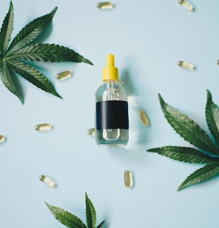 VHQ Cocaine: Prague’s High-Roller Hit