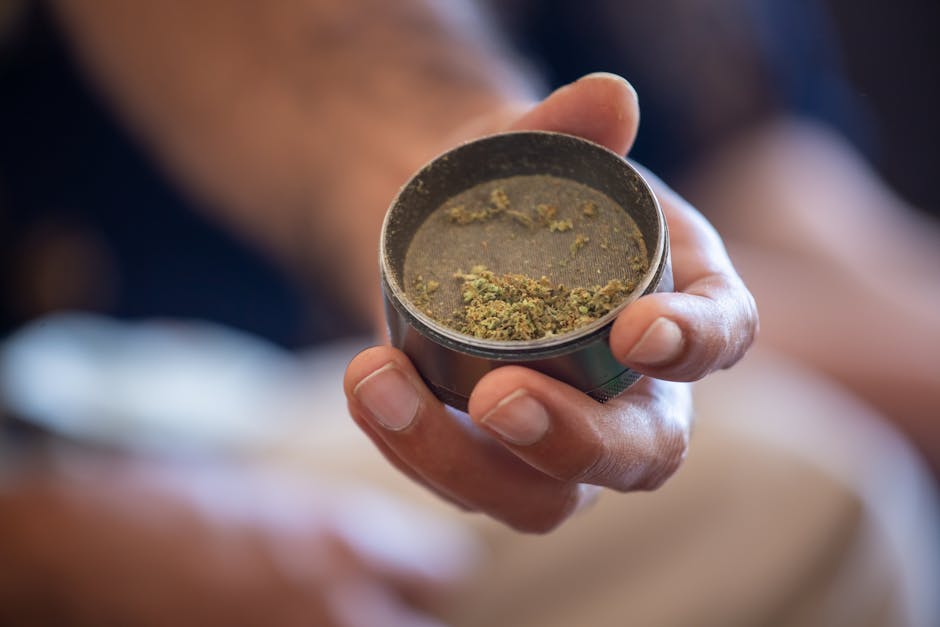 Fishscale Cocaine: Prague’s Glimmering Hit