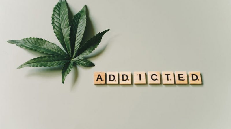 Weed in Prague: Local Haunts for a Joint