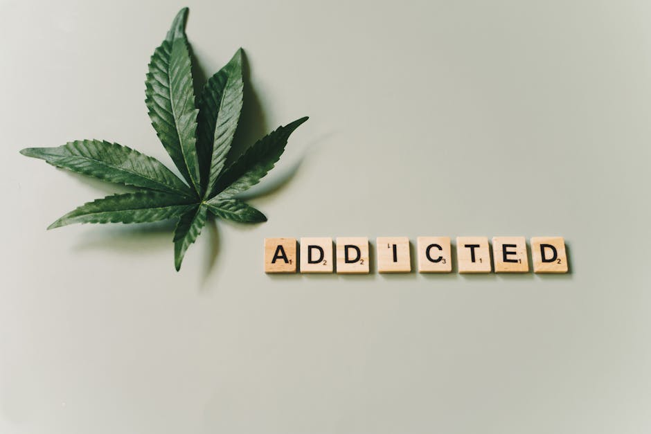 Weed in Prague: Local Haunts for a Joint