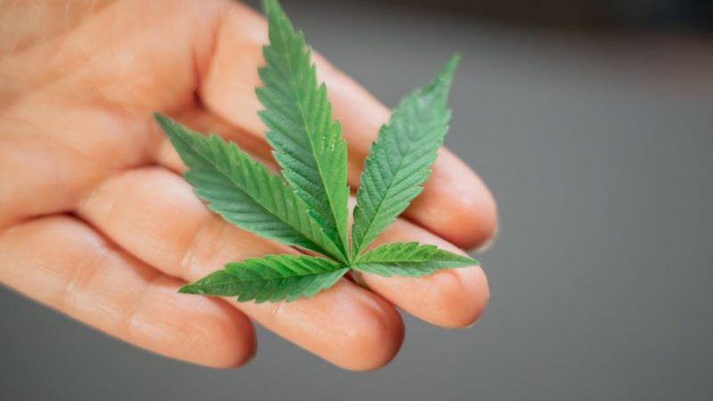 Finding a Plug in Prague: Low-Key Links