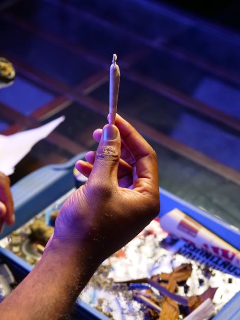 Weed in Prague: Local Chill Havens