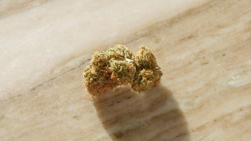 Dominican Cocaine: Prague’s Odd Hit