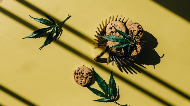 How Prague’s Drug Scene Fuels Its Allure