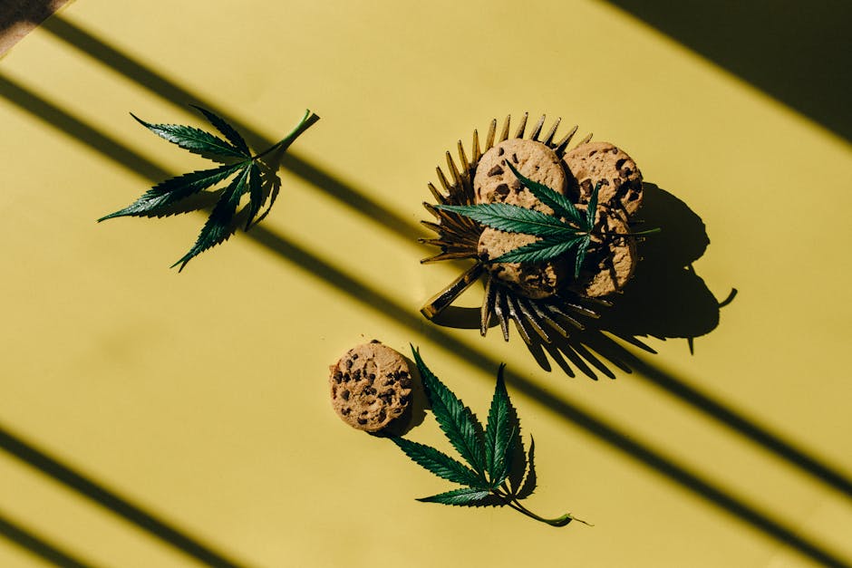 How Prague’s Drug Scene Fuels Its Allure
