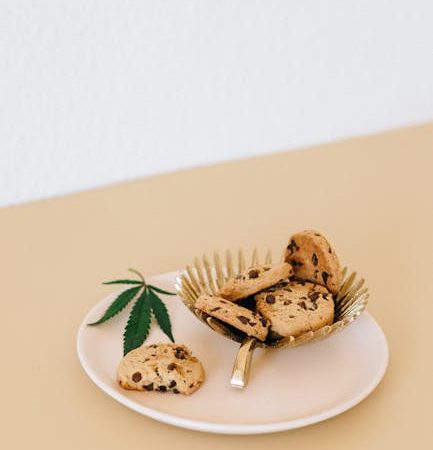 Weed in Prague: Where Tourists Chill