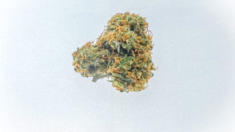 Peruvian Cocaine: Prague’s Smooth Secret