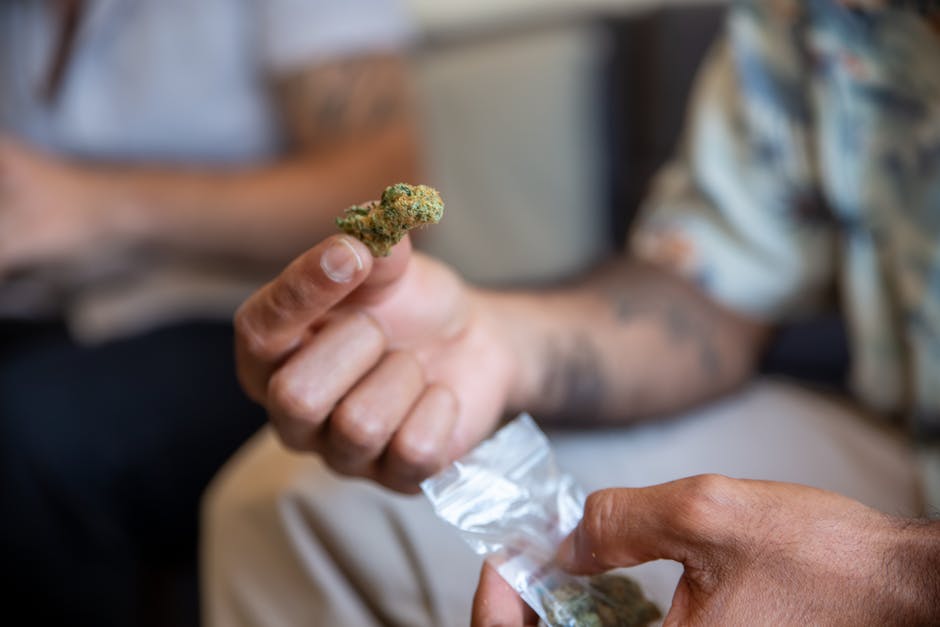 Pure Cocaine: Prague’s Purest Deal