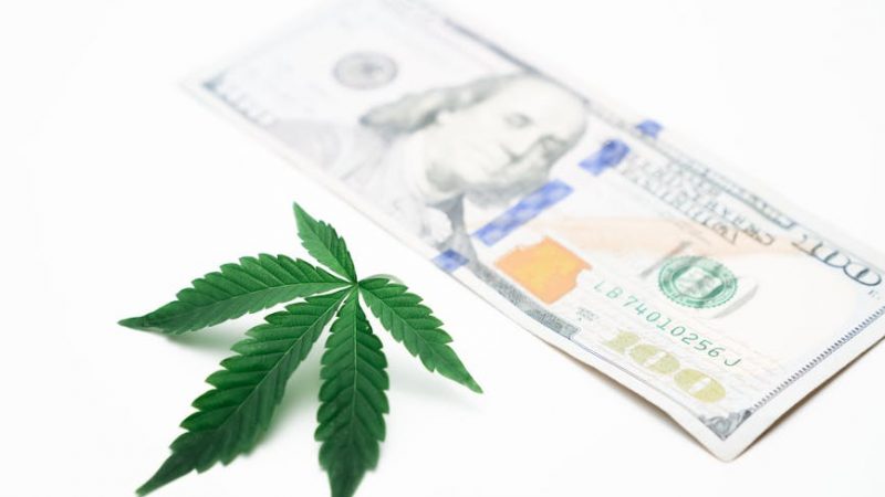 Finding a Plug in Prague: Insider Connections