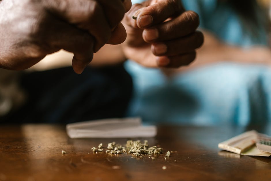MDMA in Prague: Party Purity at Its Best