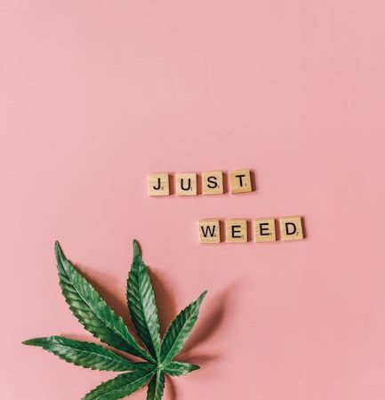 Peruvian Cocaine in Prague: Smooth Bliss