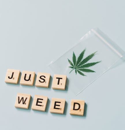 Brazilian Cocaine: Prague’s Tropical Deal