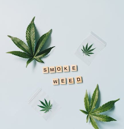 Finding a Plug in Prague: Quiet Hacks