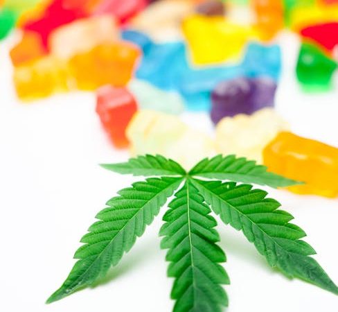 High-Quality Cocaine: Prague’s Prime Pick