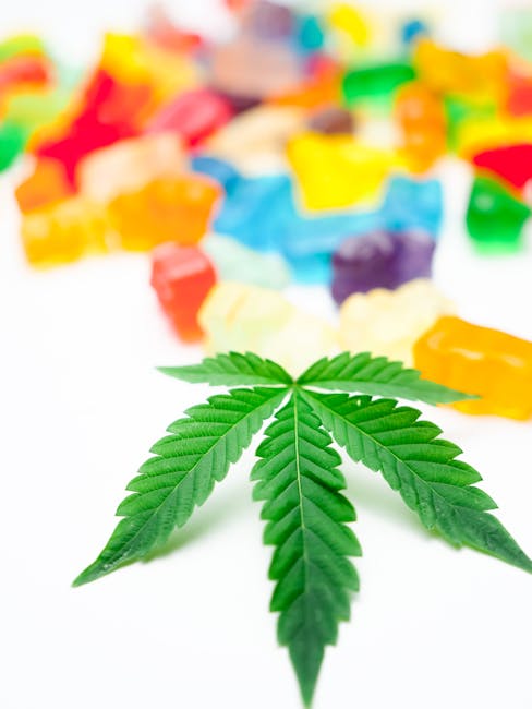 High-Quality Cocaine: Prague’s Prime Pick