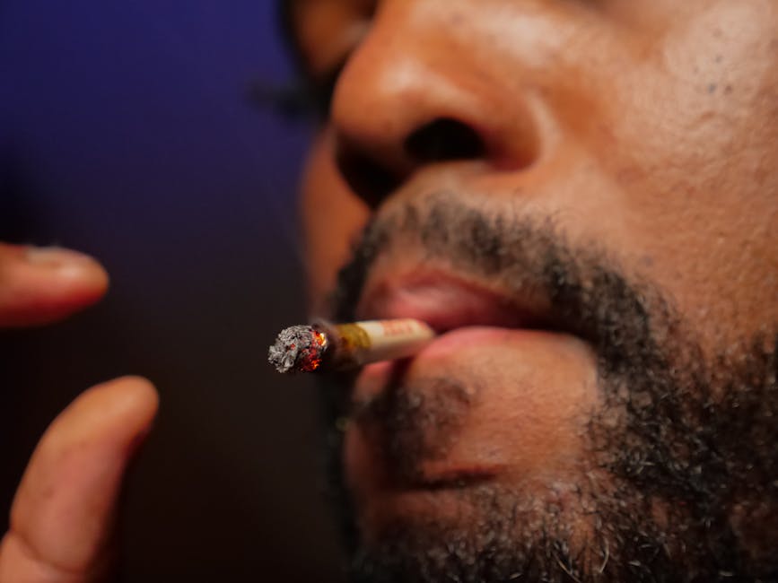 Columbian Cocaine in Prague: Top of the Heap