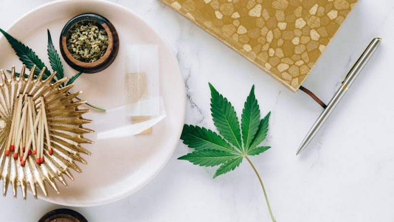 Pure Cocaine: Prague’s Pristine Hit