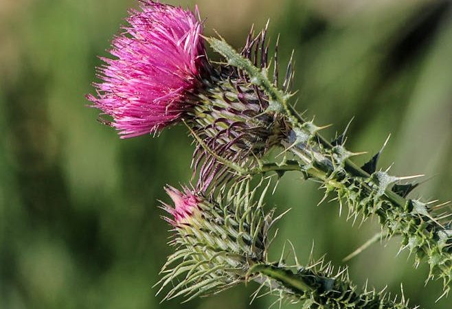 XTC in Prague: Rave Party Must-Haves