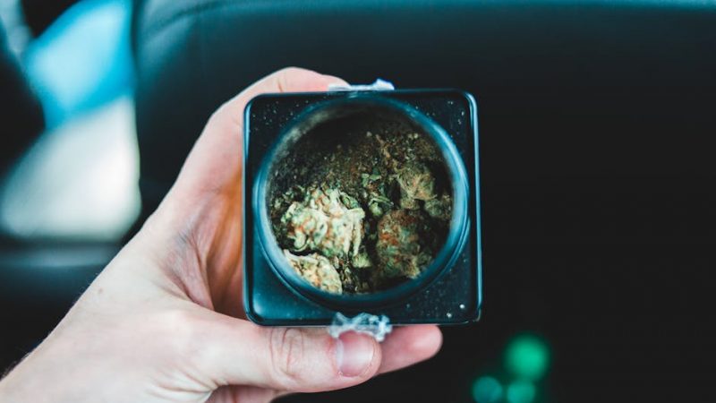 Weed in Prague: Local Relaxation Picks