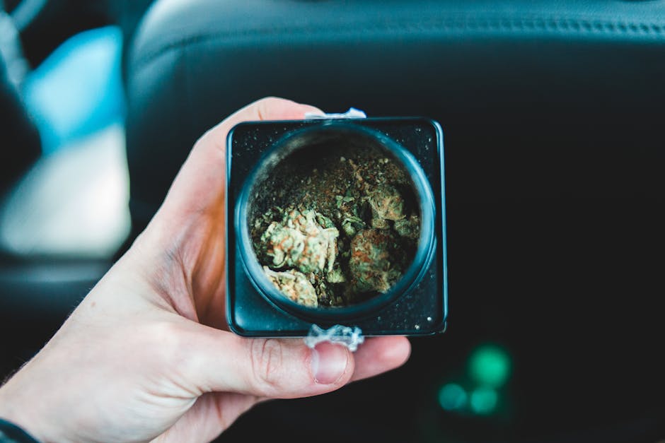 Weed in Prague: Local Relaxation Picks