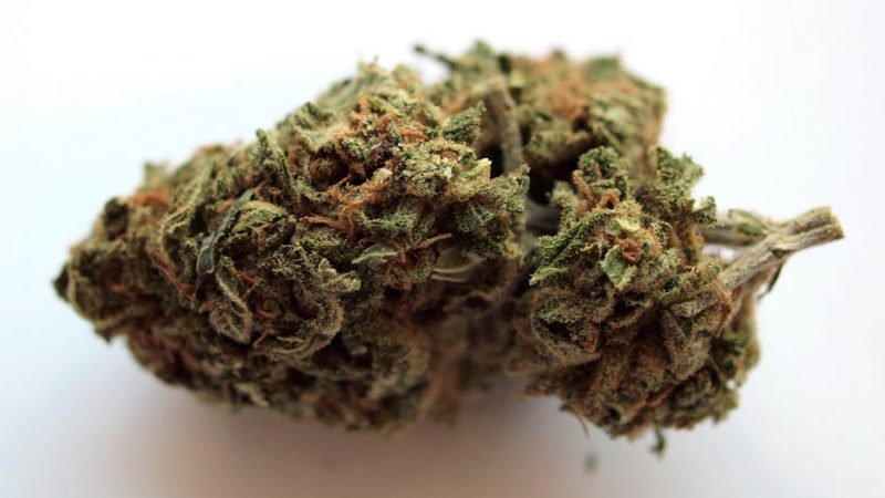 Weed in Prague: Where to Unwind Locally