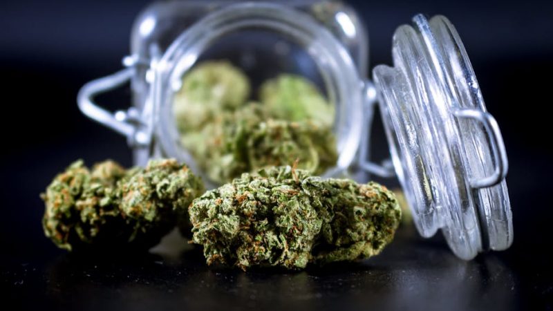 Brazilian Cocaine: Prague’s New Arrival