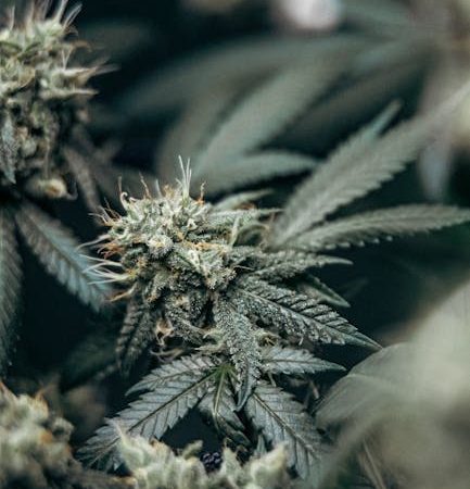 Finding a Plug in Prague: Quick Hacks